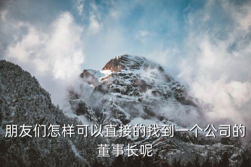 朋友们怎样可以直接的找到一个公司的董事长呢