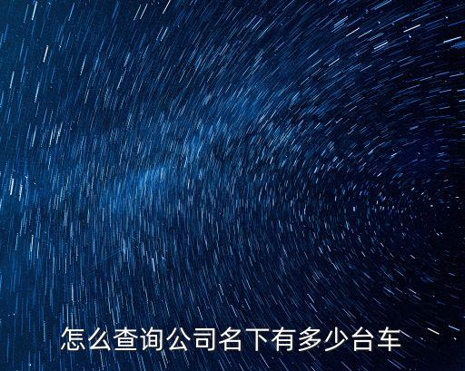 查企业网兰州空间技术物理研究所，企业网站上查不到