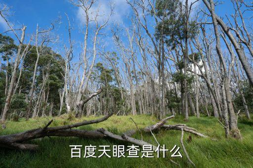 百度天眼查是什么