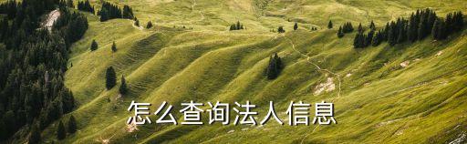 怎么查询法人信息