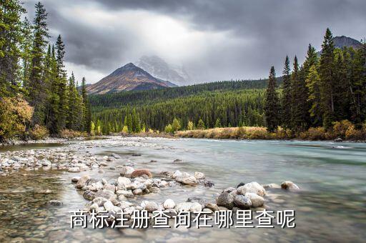 商标注册查询在哪里查呢