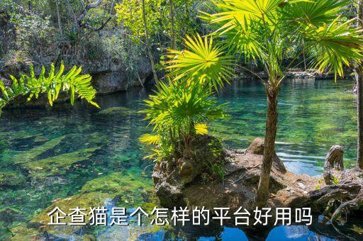企查查是个怎样的平台，企查猫是个怎样的平台好用吗
