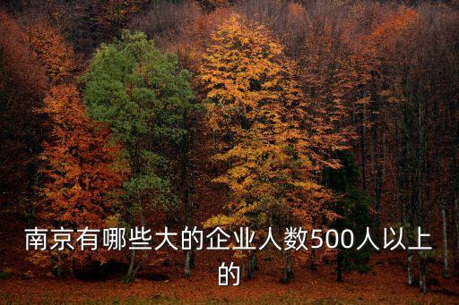 南京有哪些大的企业人数500人以上的
