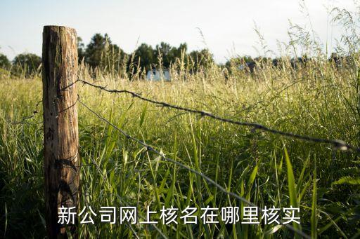 新公司网上核名在哪里核实