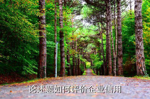 论述题如何评价企业信用