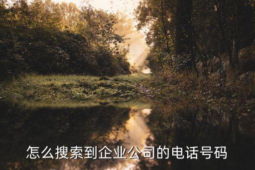 怎么搜索到企业公司的电话号码