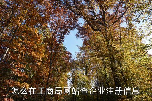 公司注册查询入口官网网址，网站注册查询