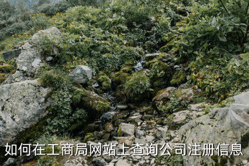 如何在工商局网站上查询公司注册信息