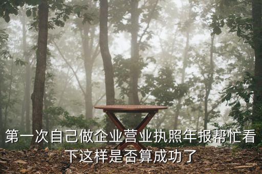 第一次自己做企业营业执照年报帮忙看下这样是否算成功了
