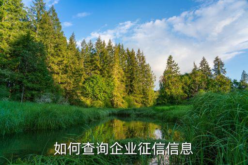 如何查询企业征信信息