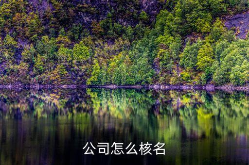 公司怎么核名