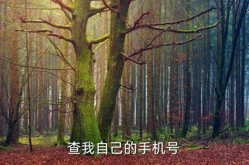 查自己名下的手机号，查我自己的手机号