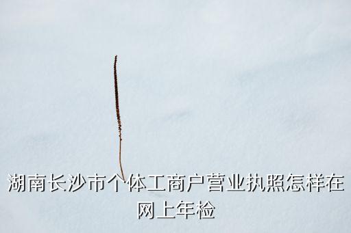 湖南长沙市个体工商户营业执照怎样在网上年检