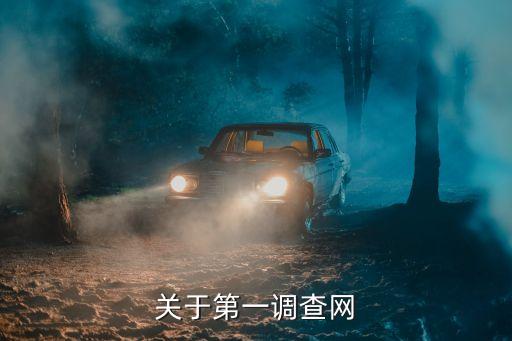 关于第一调查网