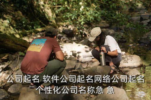 公司起名 软件公司起名网络公司起名个性化公司名称急 急