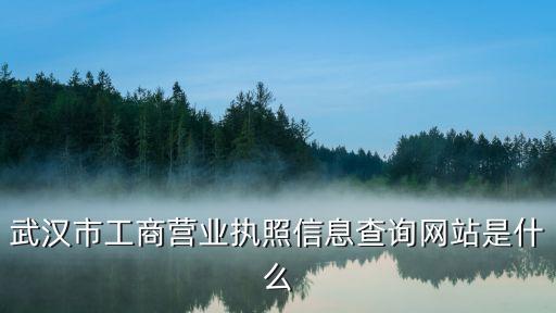 武汉市工商营业执照信息查询网站是什么
