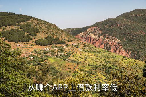 平台借钱哪个利息最低，哪个软件借钱利息低