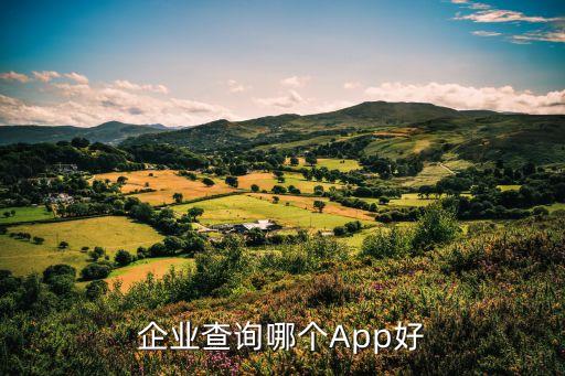 企业查询哪个App好