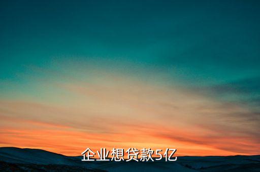 企业想贷款5亿