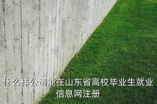 什么样公司能在山东省高校毕业生就业信息网注册
