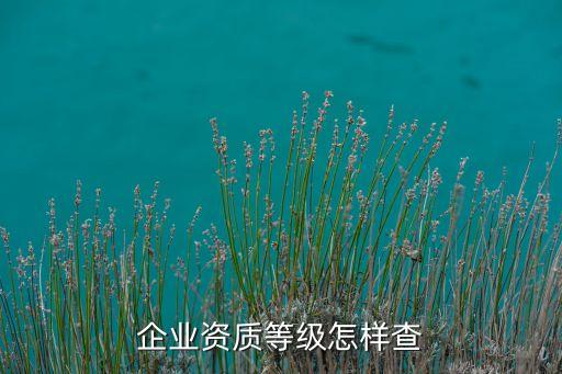 工商企业等级在哪查，企业资质等级怎样查