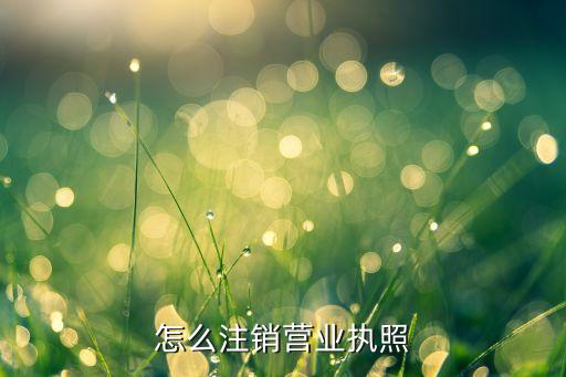 怎么注销营业执照