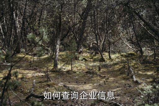 如何查询企业信息