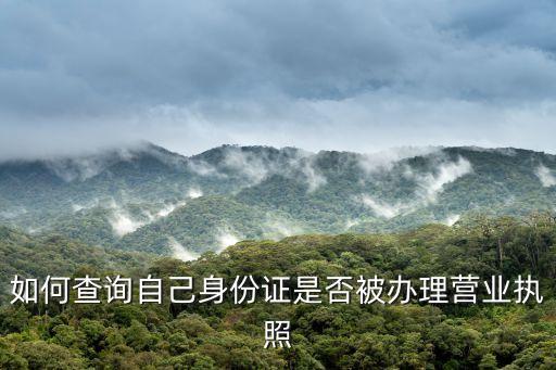 怎么查看个人名下的营业执照，怎样查询工商营业执照