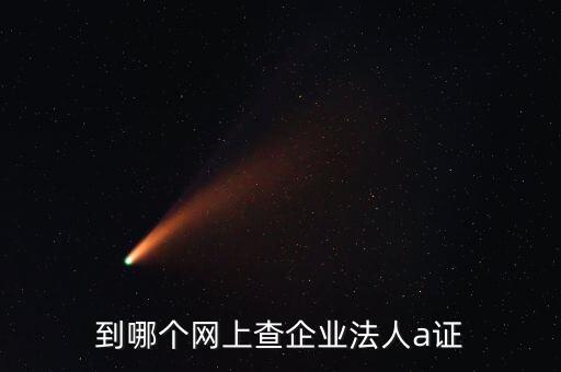到哪个网上查企业法人a证