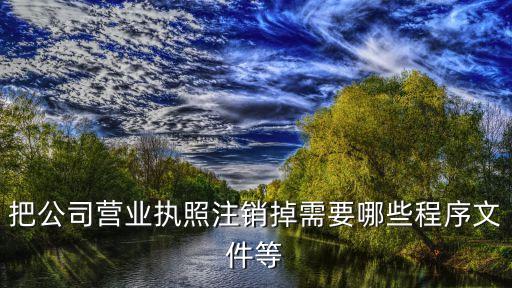 把公司营业执照注销掉需要哪些程序文件等