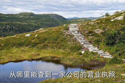 从哪里能查到一家公司的营业执照