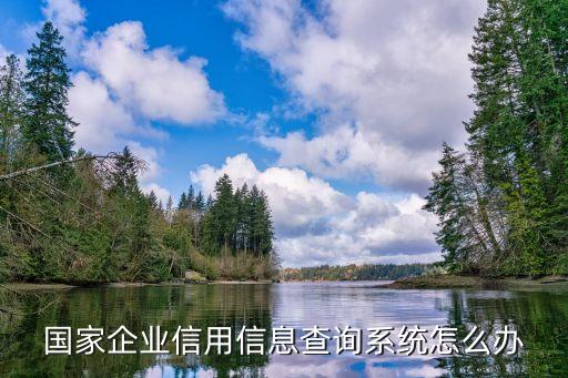 国家企业信用平台，关于企业信用网