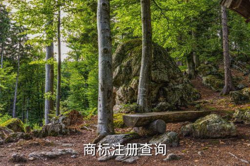 商标注册查询