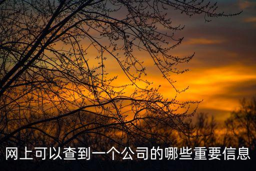 网上可以查到一个公司的哪些重要信息