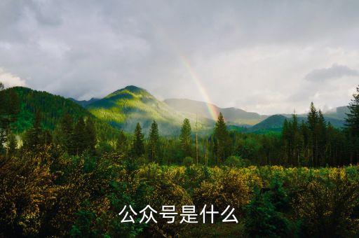 公众号，公众号是什么