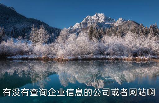 有没有查询企业信息的公司或者网站啊