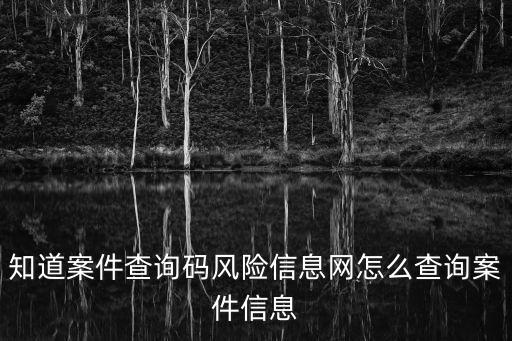 知道案件查询码风险信息网怎么查询案件信息