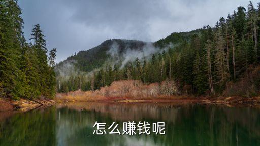 怎么赚钱呢