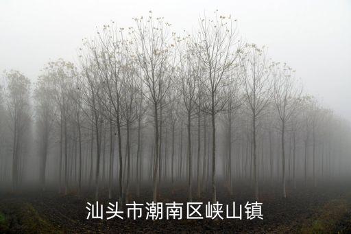 汕头市潮南区峡山镇