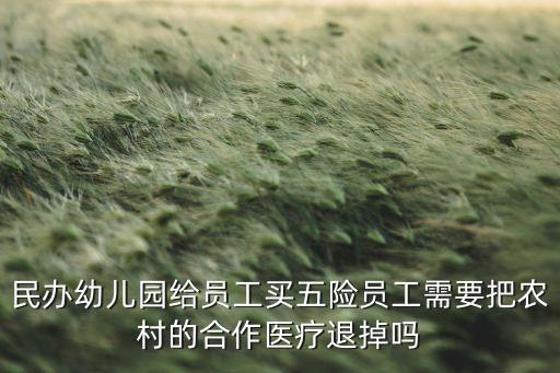 交五险必须退新农合吗，公司给交的五险后用退自己以前交的农合吗