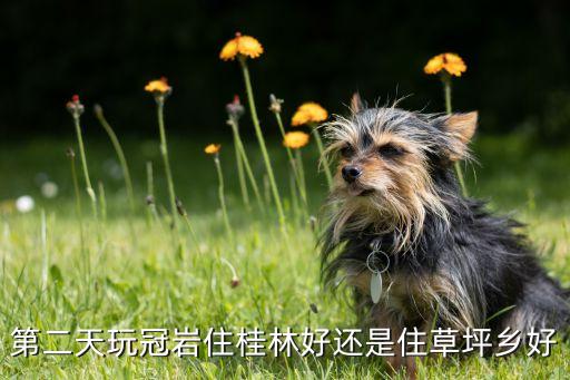 第二天玩冠岩住桂林好还是住草坪乡好