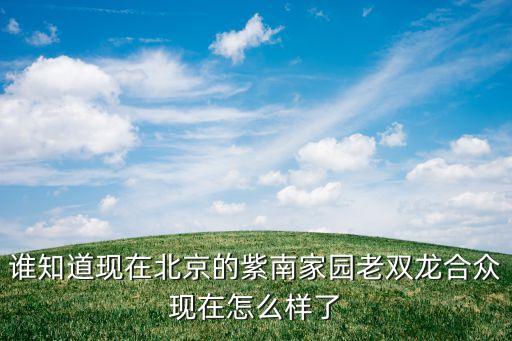 谁知道现在北京的紫南家园老双龙合众现在怎么样了