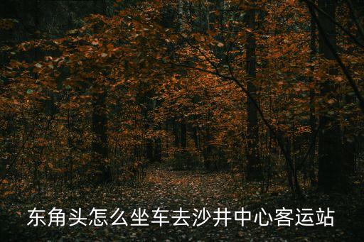 东角头怎么坐车去沙井中心客运站