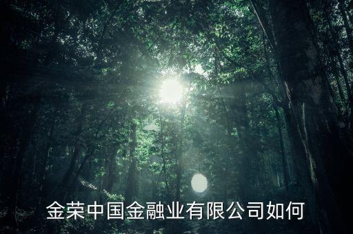金荣中国金融业有限公司如何