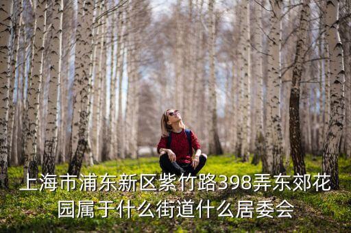 上海市浦东新区紫竹路398弄东郊花园属于什么街道什么居委会