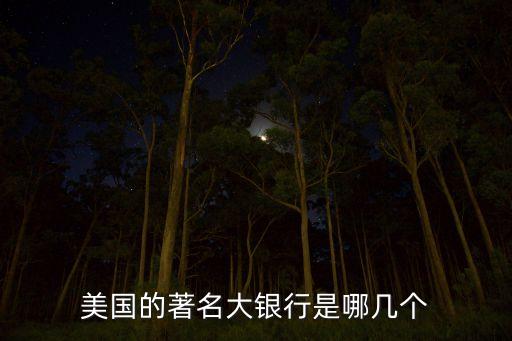 美国的著名大银行是哪几个