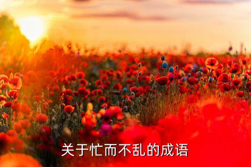 忙而不乱，关于忙而不乱的成语