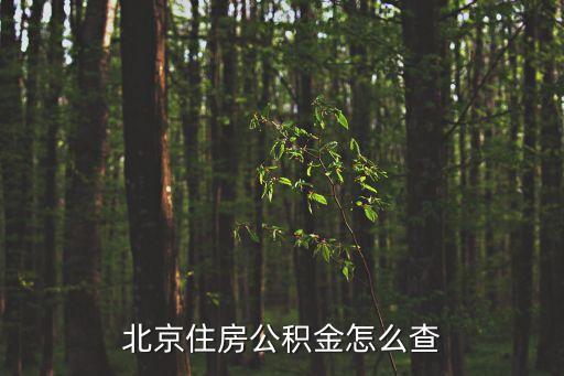 北京住房公积金查询，北京公积金怎么查询