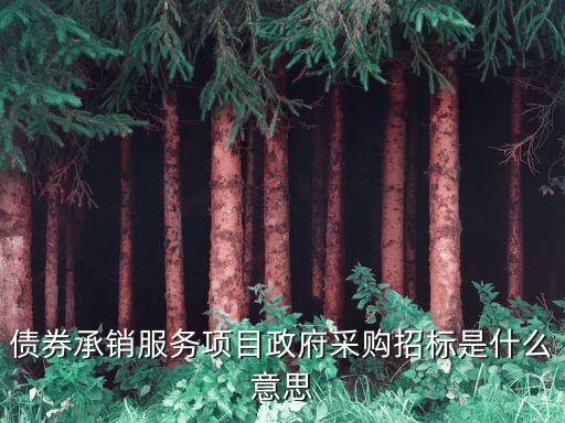 债券承销服务项目政府采购招标是什么意思