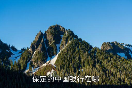 保定的中国银行在哪
